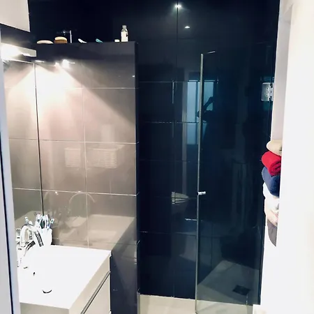 Champs Elysees פריז