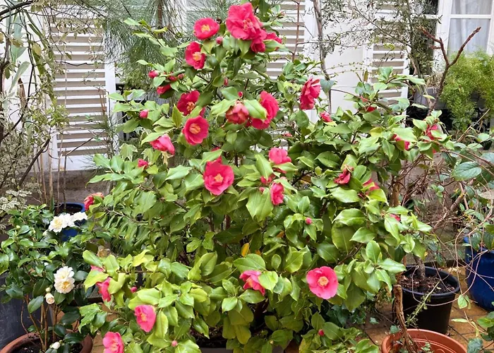 Champs Elysees Apartamento Paris